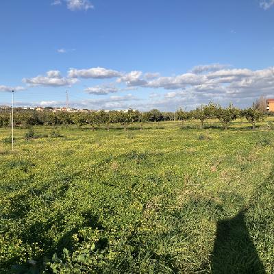 Terreno