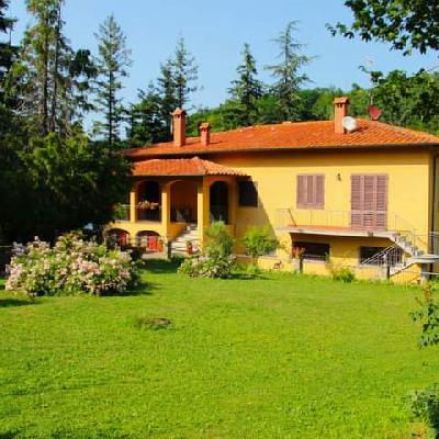 B&B
