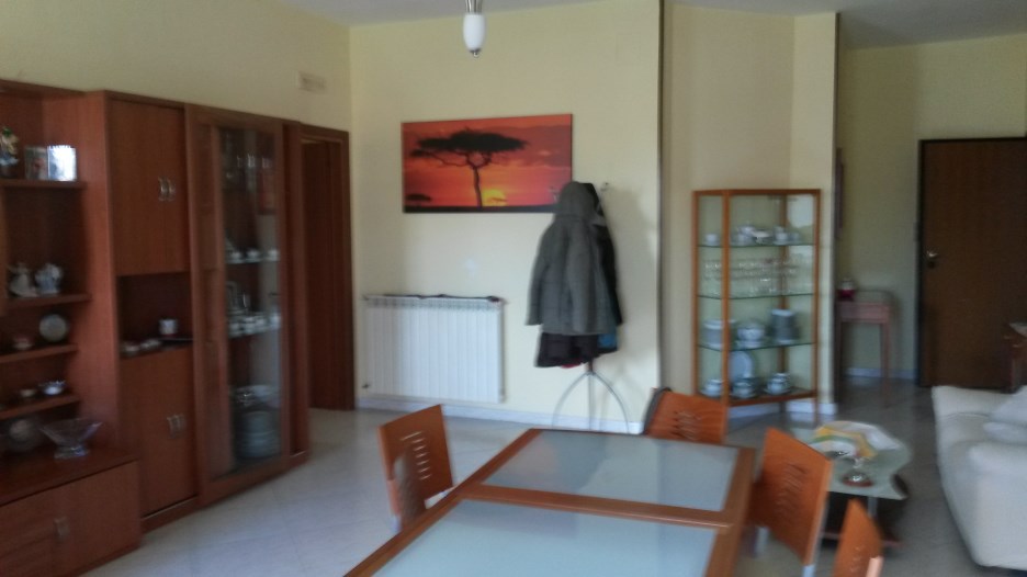 Appartamento VILLA DI BRIANO vendita    TEMPOCASE