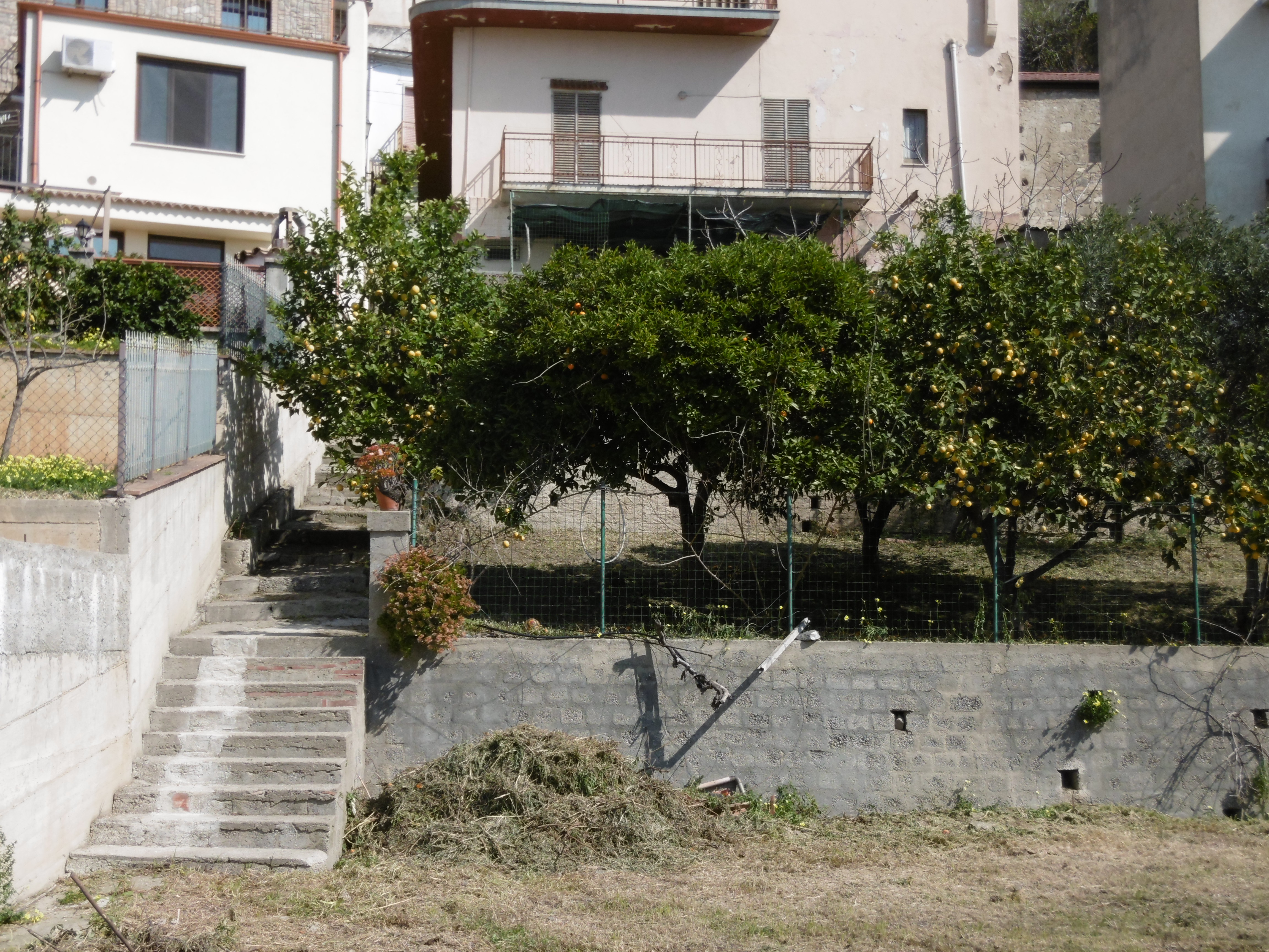 Appartamento TREBISACCE vendita    Consimm Corigliano