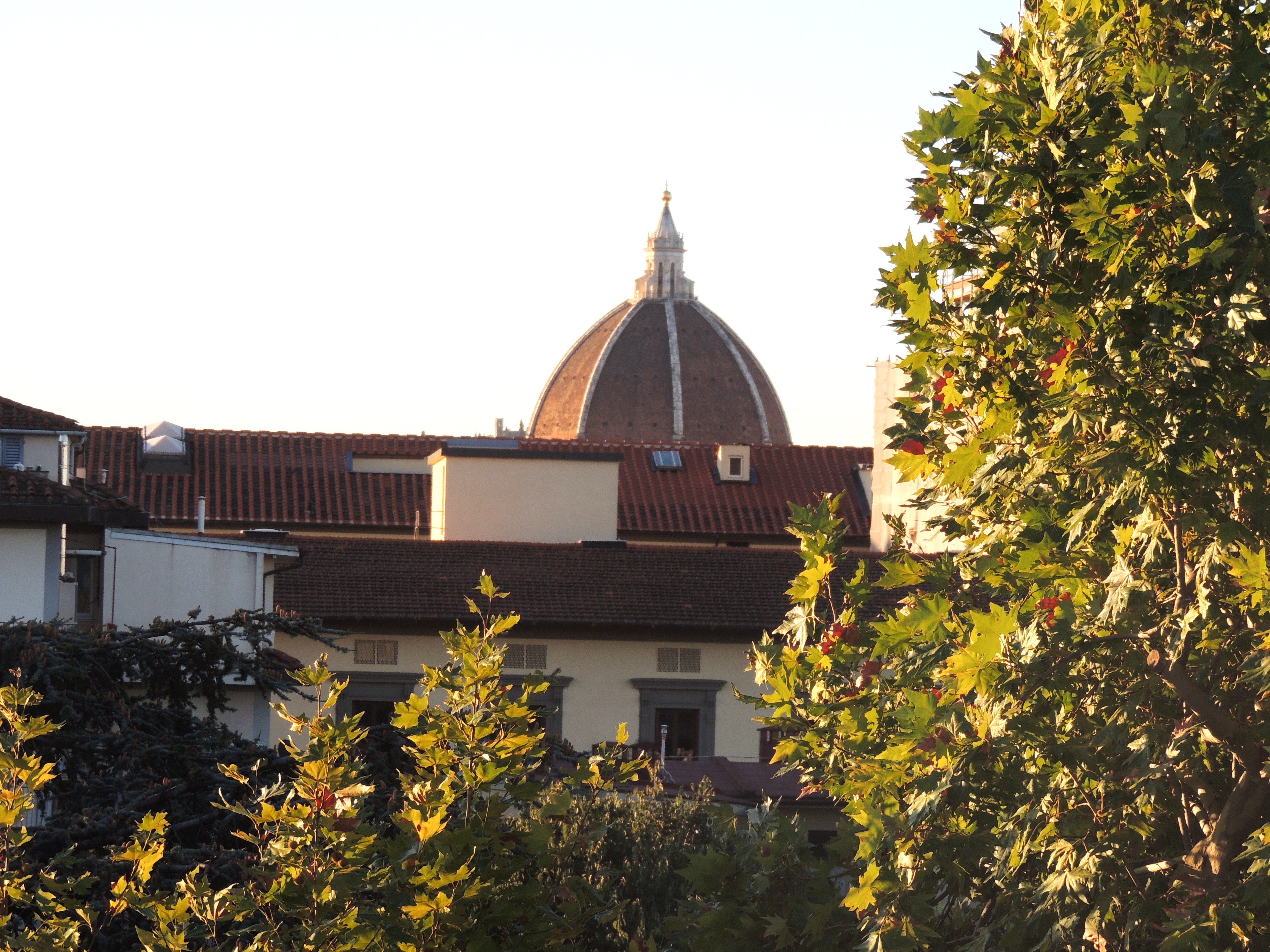  firenze vendita  consimm agency prato