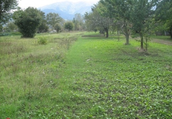 Appartamento MONTESARCHIO vendita    Gastone RE
