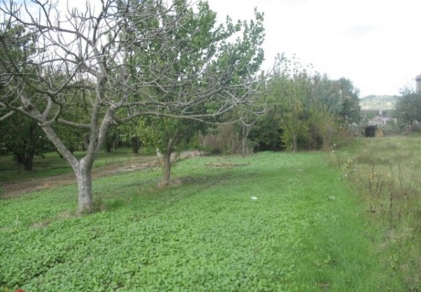 Appartamento MONTESARCHIO vendita    Gastone RE