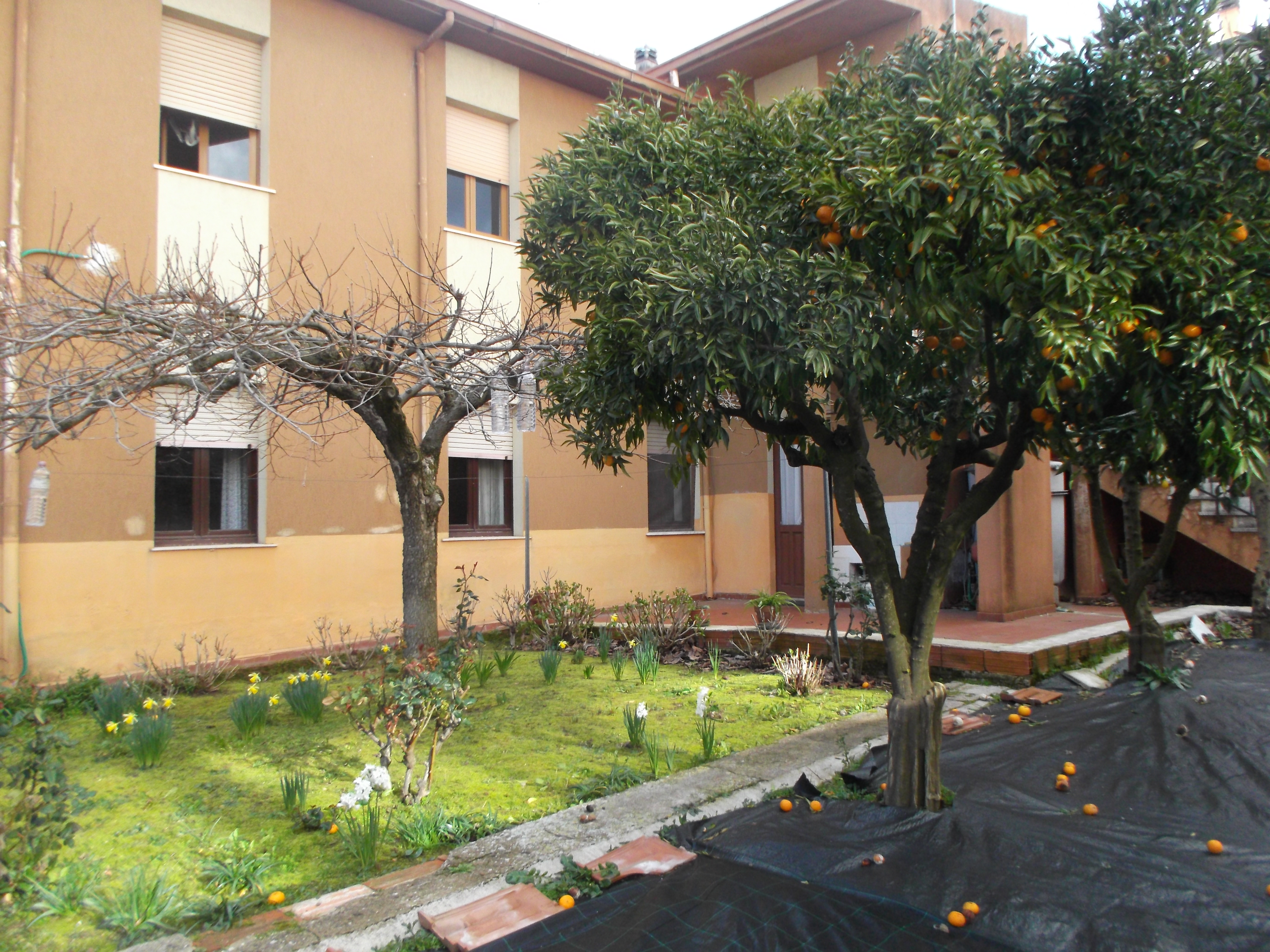  macomer vendita  esseffe consulenze immobiliari in sardegna