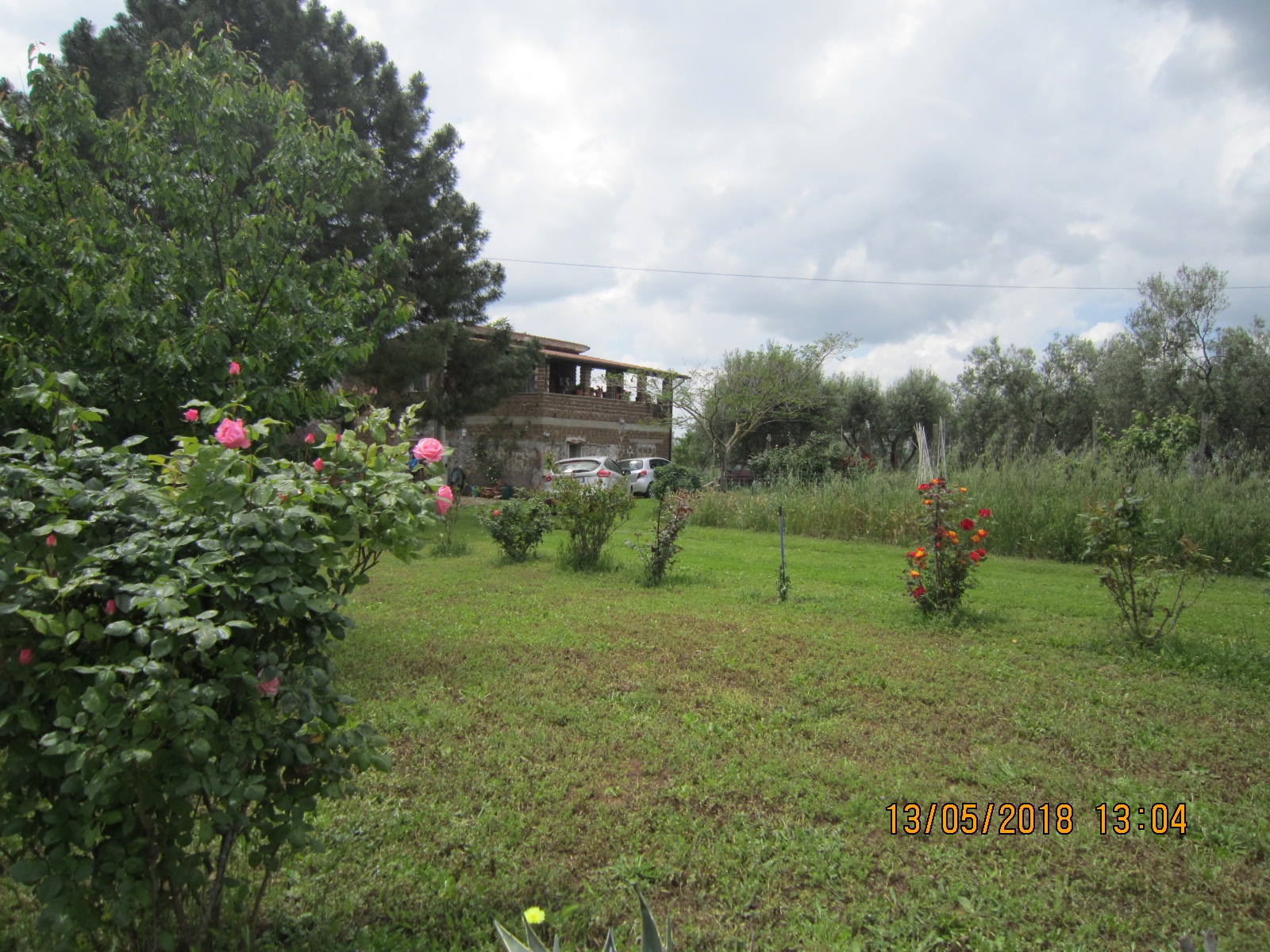  viterbo vendita  etruscasa s.r.l.