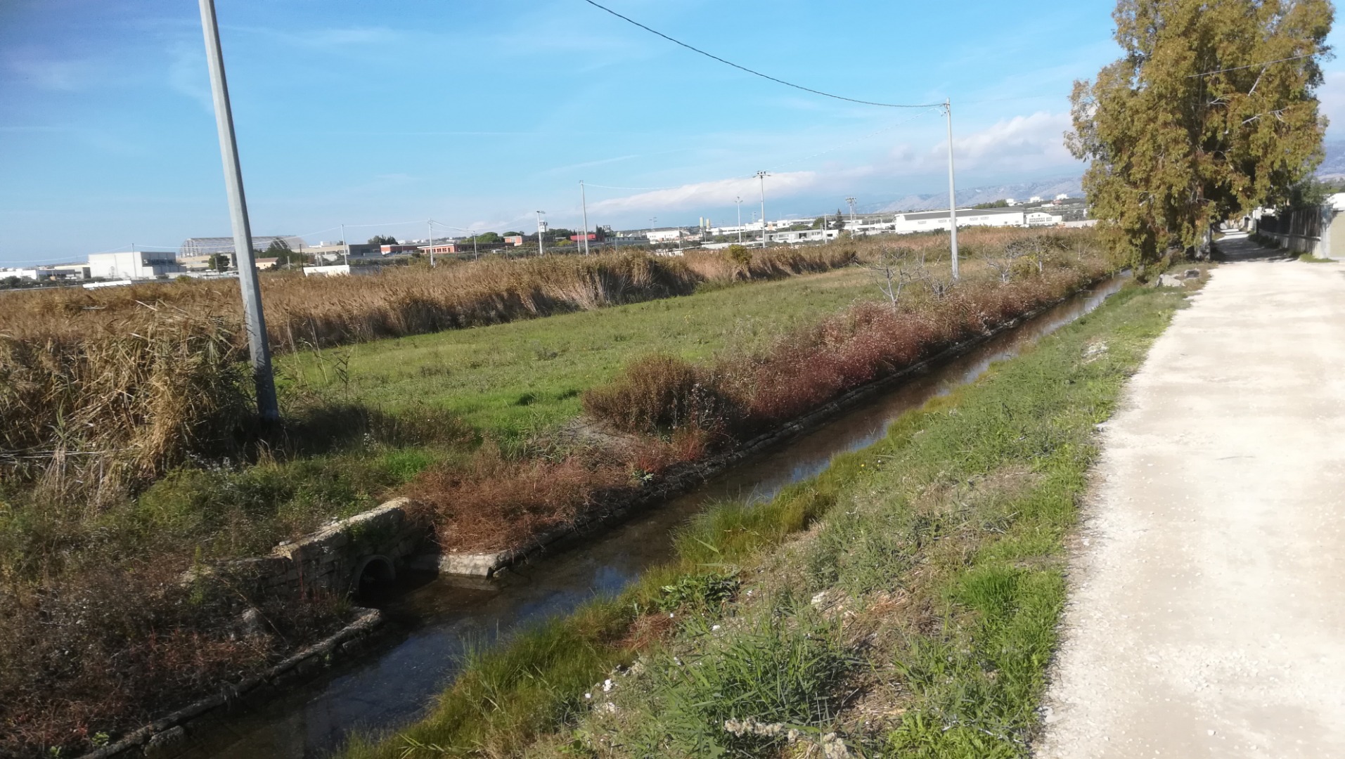 Appartamento MANFREDONIA vendita    MEDIACASA