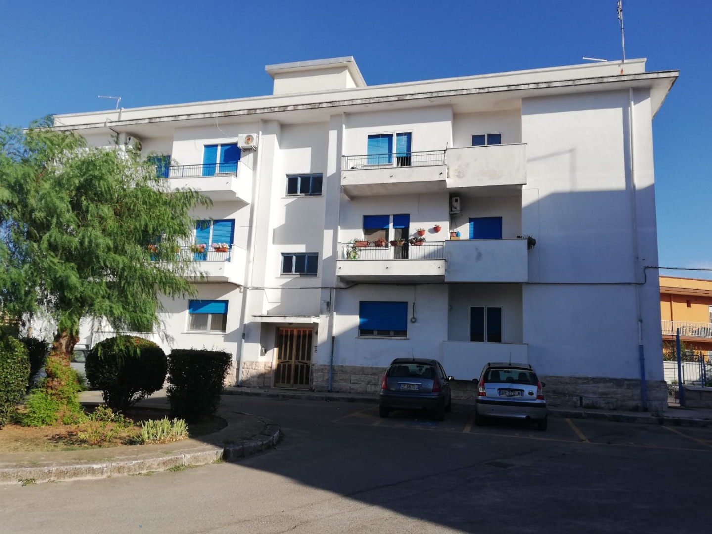   vendita  mp immobiliare