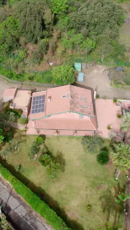 immobile