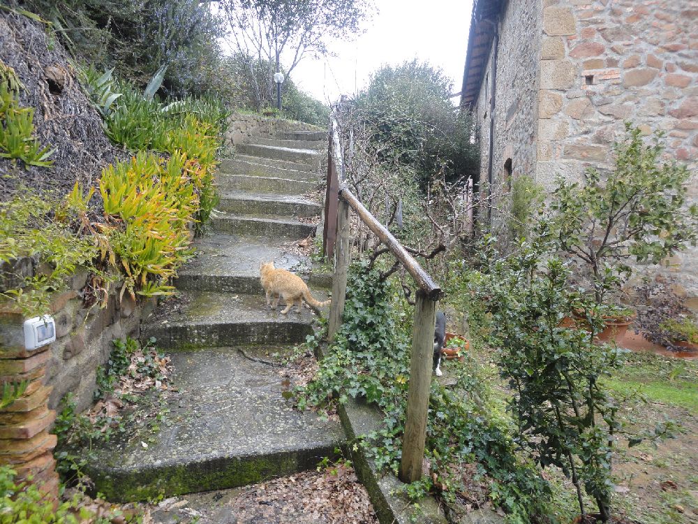 immobile