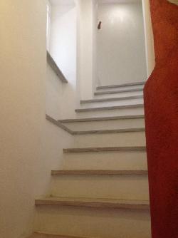 immobile