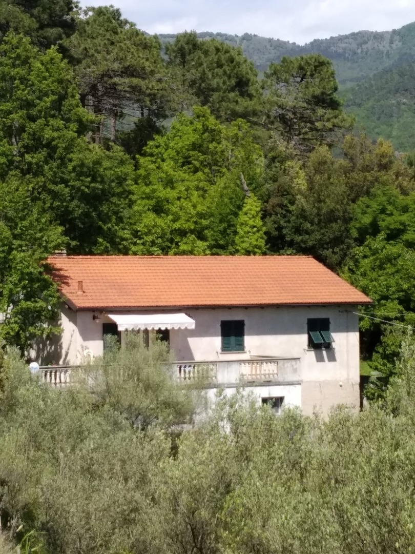 properties